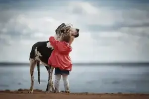 little-kids-big-dogs-photography-andy-seliverstoff-14-584fa917f1bf0__880