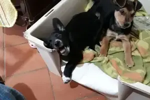 WhatsApp Image 2018-03-22 at 21.29.25 (1)