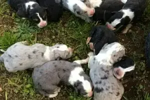 429b6d3d-7740-4bc7-94fa-b4abbc04df67