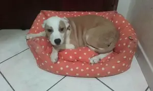 29314834_2042580412424457_3915478983751237632_n