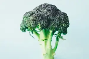 i cani possono mangiare i broccoli