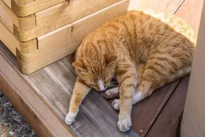 9001500401_84f506daab_k-min