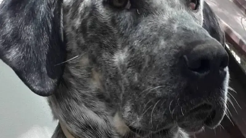 31772989_1687092021326418_7930812714434166784_n