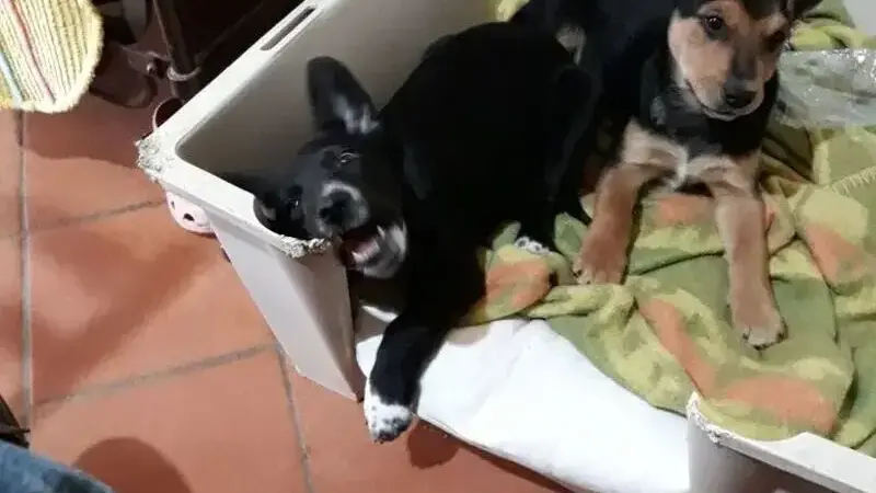 WhatsApp Image 2018-03-22 at 21.29.25 (1)