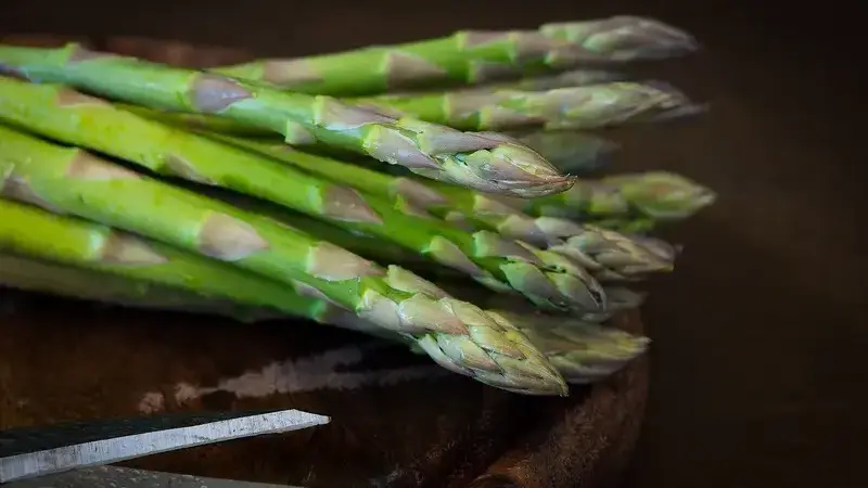 i cani possono mangiare gli asparagi