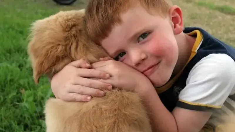 morte improvvisa cane