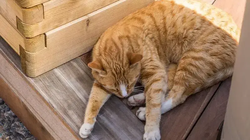 9001500401_84f506daab_k-min